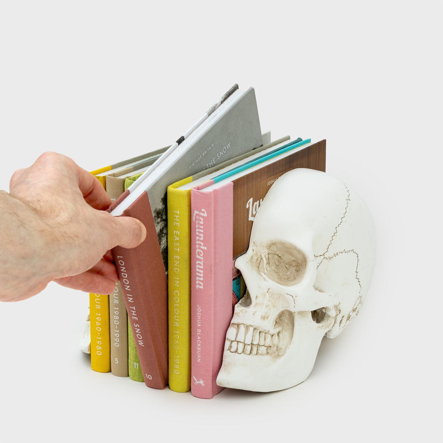 Skull Bookends