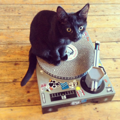 DJ Cat Scratcher
