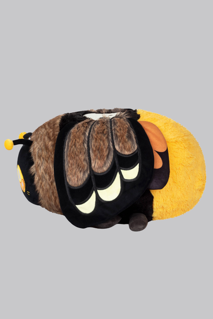 Regular Squishable Death's-head Hawkmoth