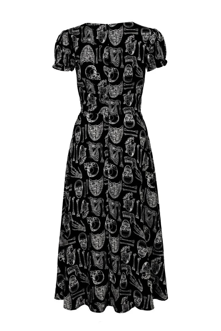 Anatomy Dress