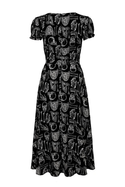 Anatomy Dress