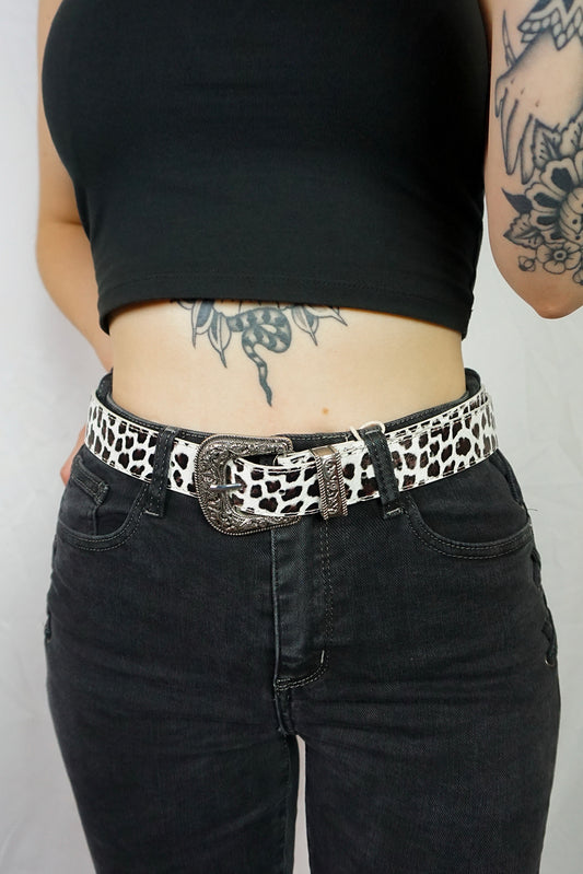 Western Belt Snow Leopard