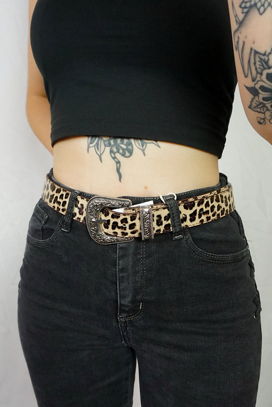 Western Belt Leopard