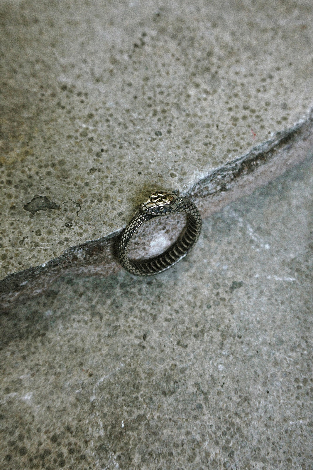 Snake Ring