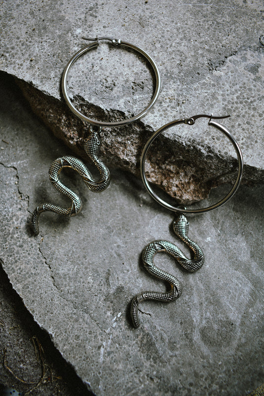 Janis Earrings Big Silver