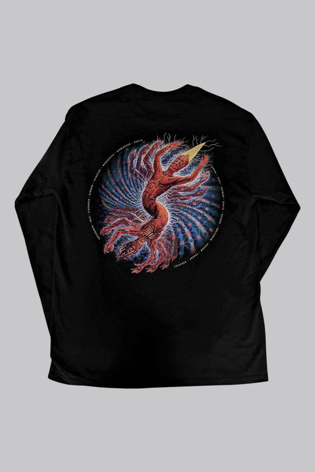 Tool Spiral Tour 2022 Longsleeve